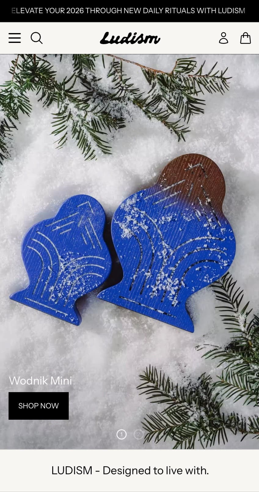 Sklep Shopify Ludism